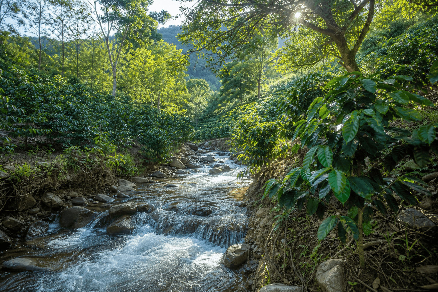 Clean Water